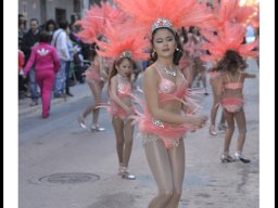 Carnaval de Mula 2014